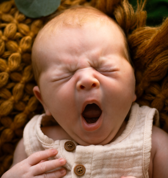 CARROUSSEL NAISSANCE