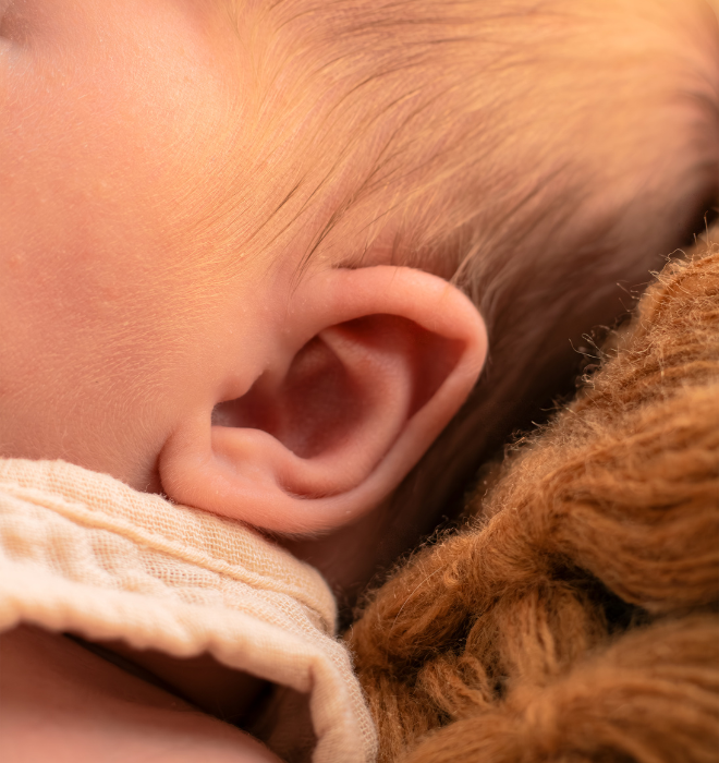 CARROUSSEL NAISSANCE