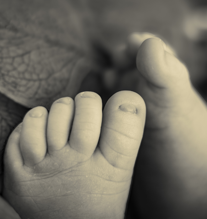 CARROUSSEL NAISSANCE