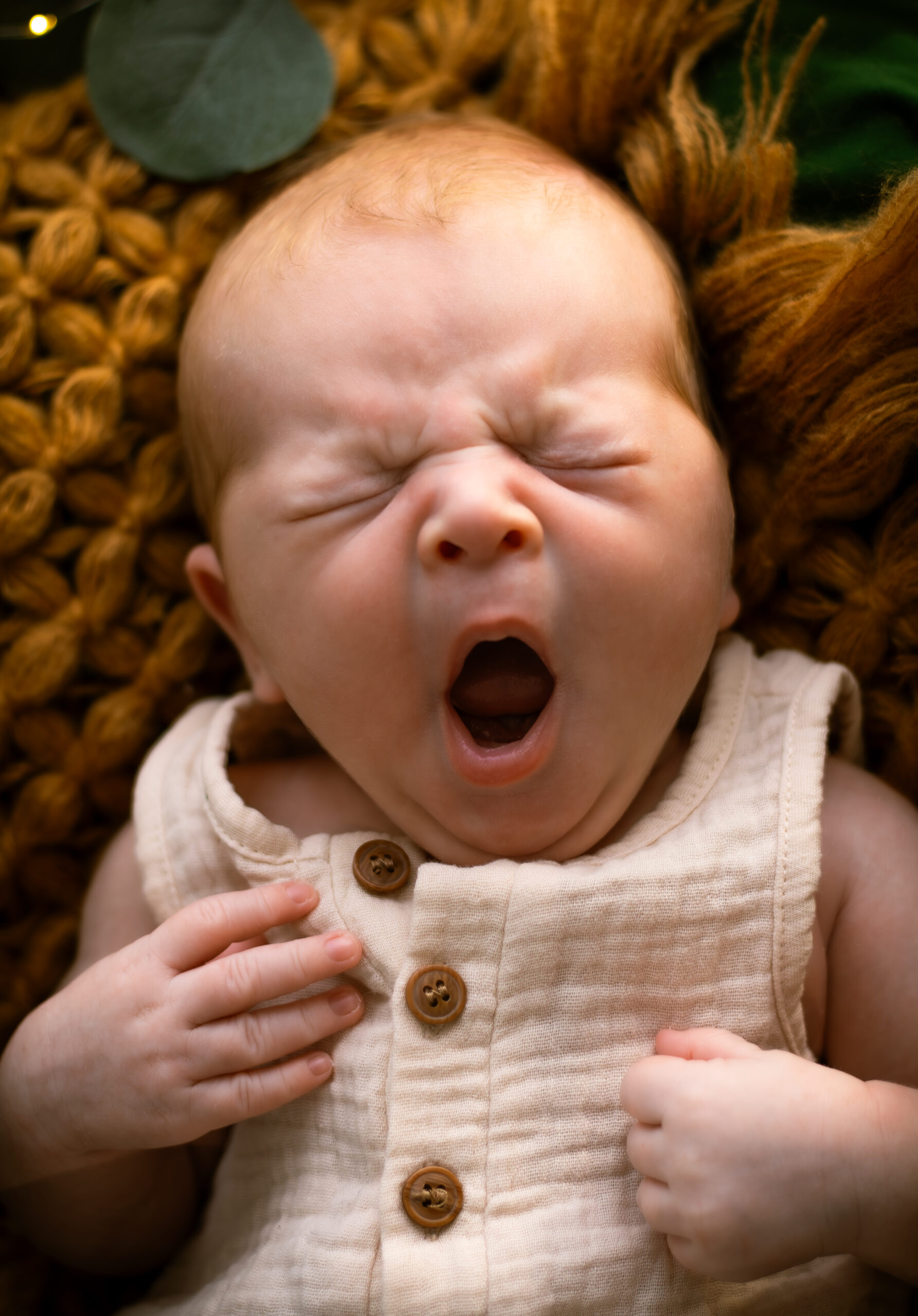 2510-NA11-Julie.M Photographie