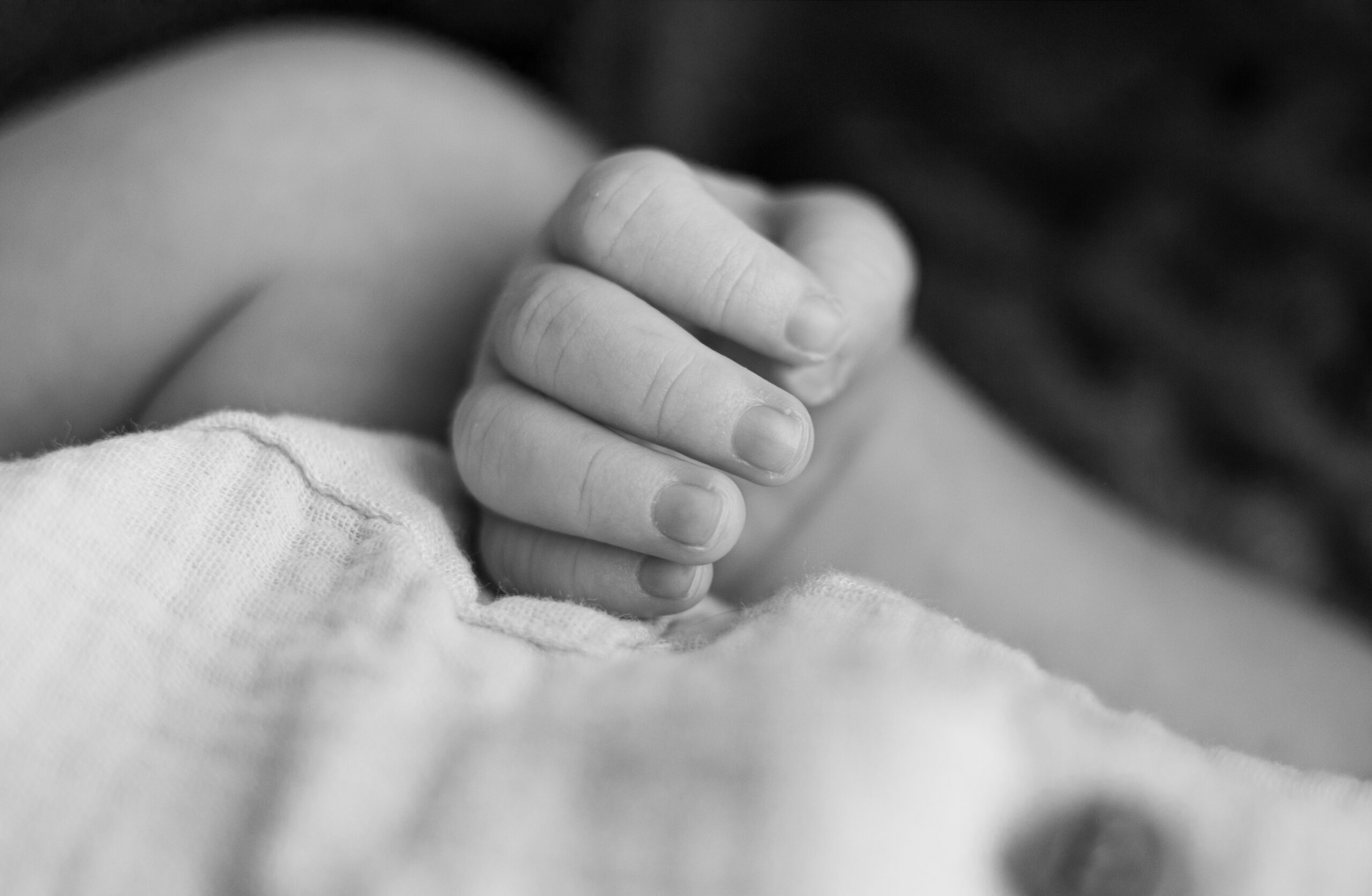 2510-NA12-Julie.M Photographie