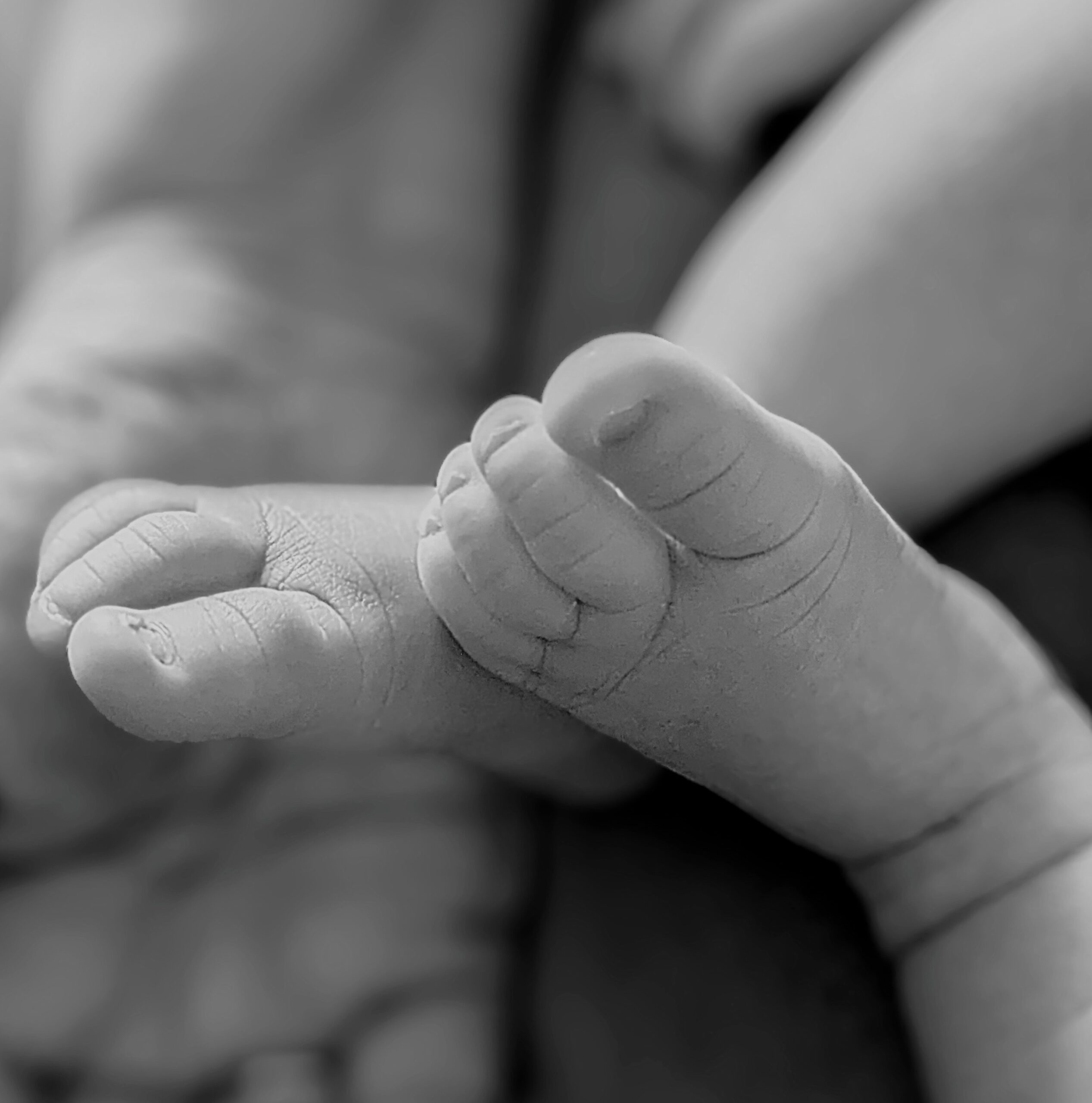 photostudio_1694955825895~4